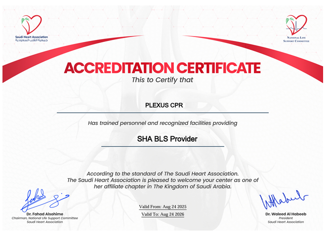 SHA BLS Provider